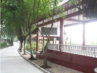 重慶市行知職業(yè)技術(shù)學(xué)校