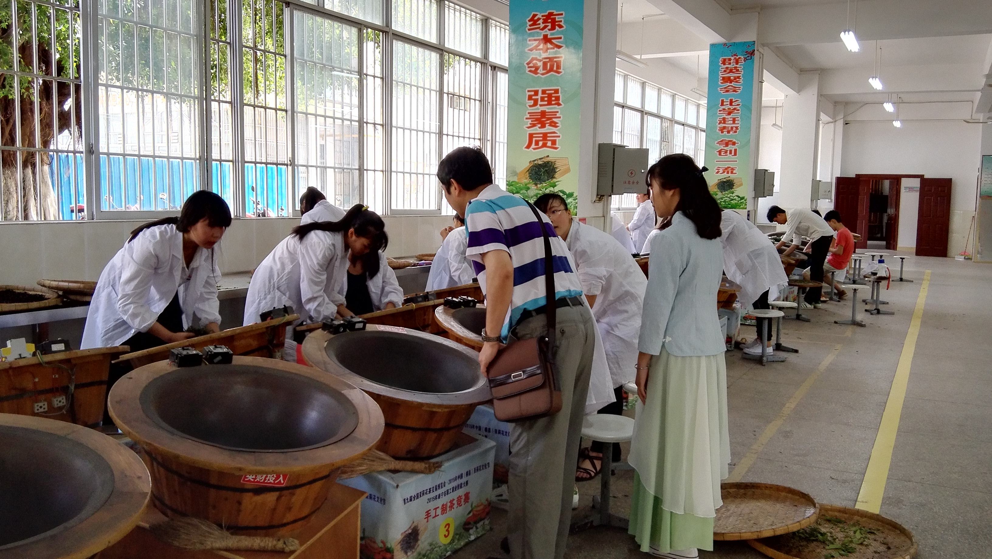 茶叶生产与加工专业