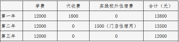 长沙市麓才医药学校、招生计划