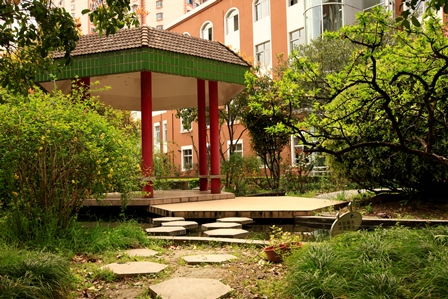 上海市经济管理学校环境、学校图片