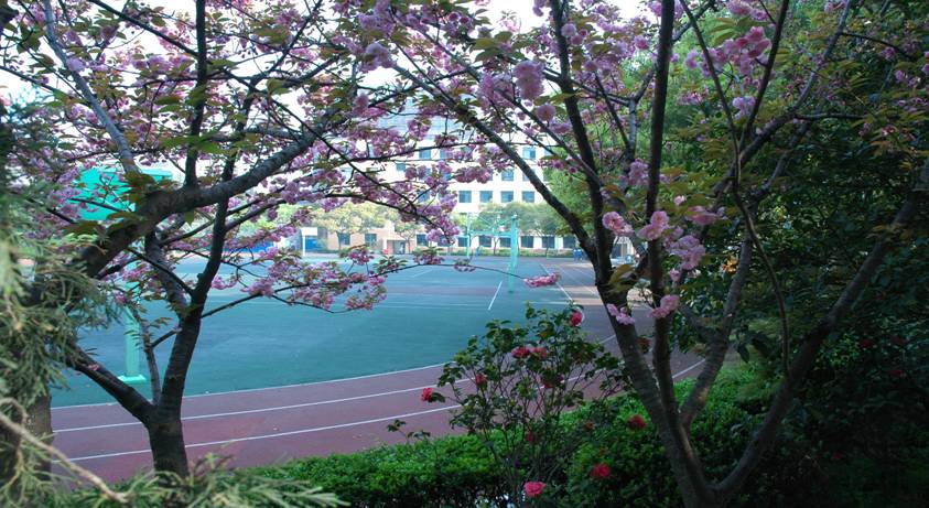 上海科技管理学校环境、学校图片