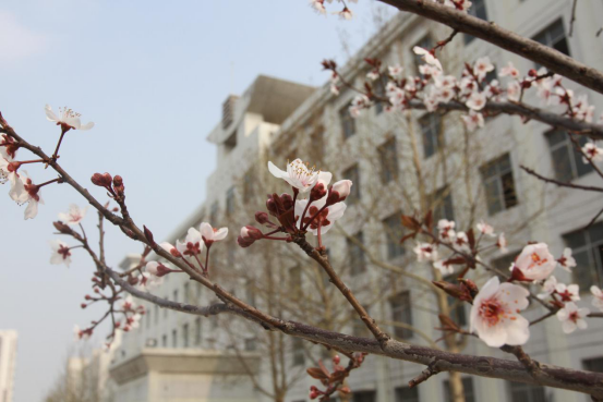 天津市劳动保护学校环境、学校图片