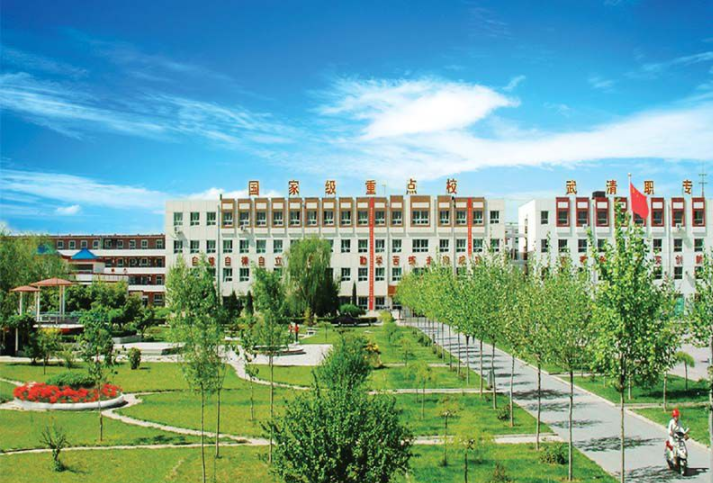 天津市武清区职业中等专业学校是一个怎样的学校、学校怎么样