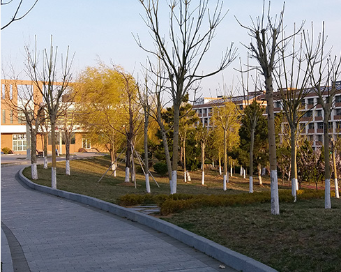 泰安技师学院