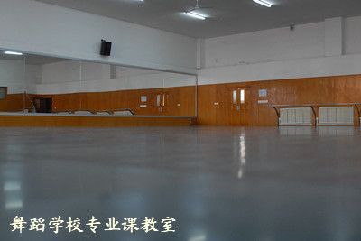 沈阳音乐学院附属中等舞蹈学校