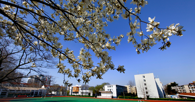 烟台旅游学校